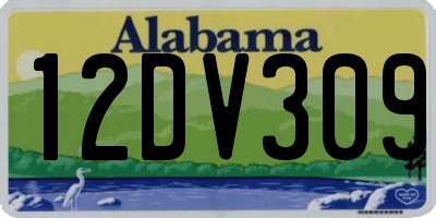 AL license plate 12DV309