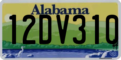 AL license plate 12DV310