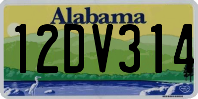 AL license plate 12DV314