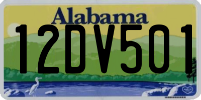 AL license plate 12DV501