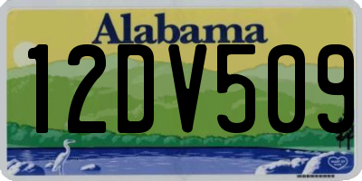 AL license plate 12DV509