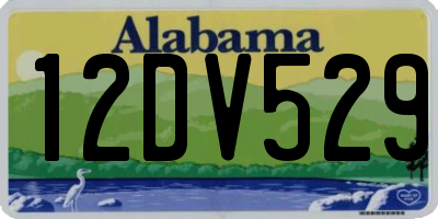 AL license plate 12DV529