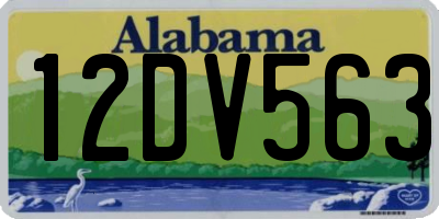 AL license plate 12DV563