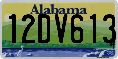 AL license plate 12DV613