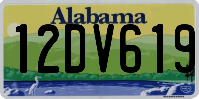 AL license plate 12DV619