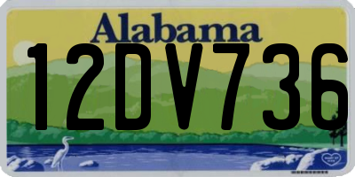 AL license plate 12DV736