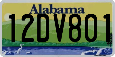 AL license plate 12DV801