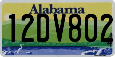 AL license plate 12DV802