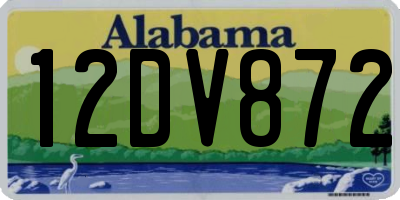 AL license plate 12DV872