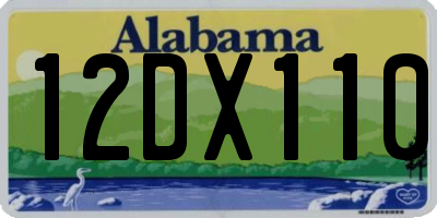 AL license plate 12DX110
