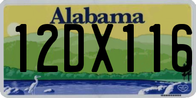 AL license plate 12DX116