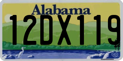 AL license plate 12DX119