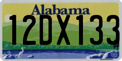 AL license plate 12DX133