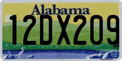 AL license plate 12DX209