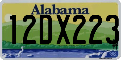 AL license plate 12DX223