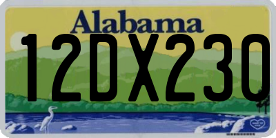 AL license plate 12DX230