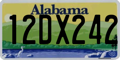 AL license plate 12DX242