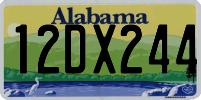 AL license plate 12DX244