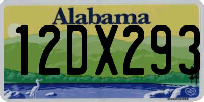 AL license plate 12DX293