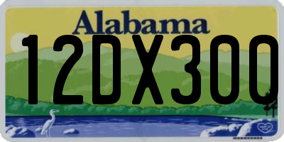 AL license plate 12DX300