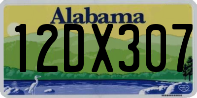 AL license plate 12DX307