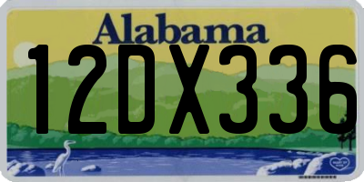 AL license plate 12DX336