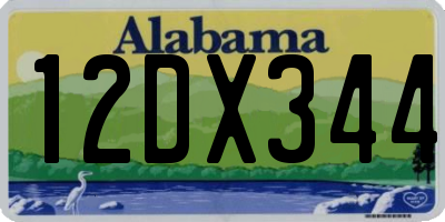 AL license plate 12DX344