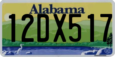 AL license plate 12DX517