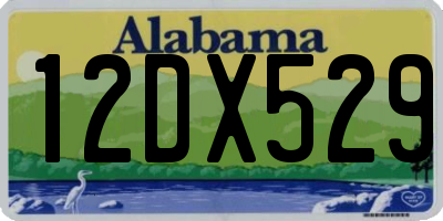 AL license plate 12DX529