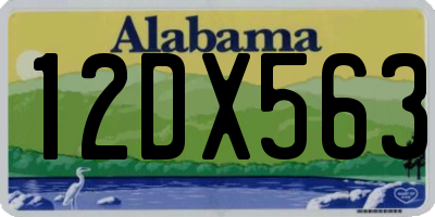 AL license plate 12DX563