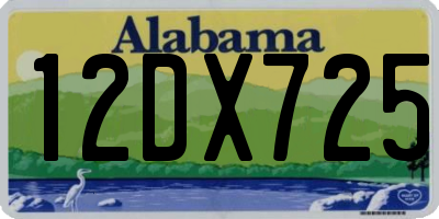 AL license plate 12DX725