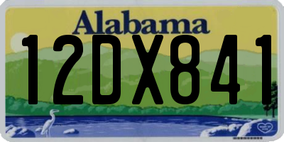 AL license plate 12DX841