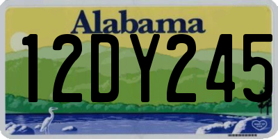 AL license plate 12DY245