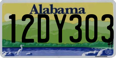 AL license plate 12DY303