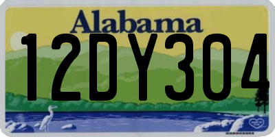 AL license plate 12DY304