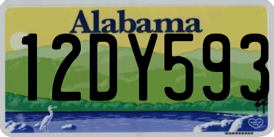 AL license plate 12DY593