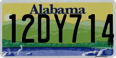 AL license plate 12DY714