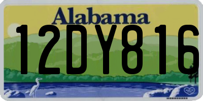 AL license plate 12DY816