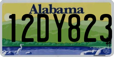 AL license plate 12DY823