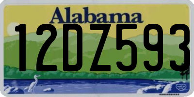 AL license plate 12DZ593