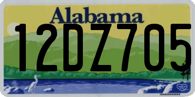 AL license plate 12DZ705