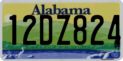 AL license plate 12DZ824