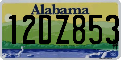 AL license plate 12DZ853