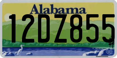 AL license plate 12DZ855