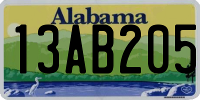 AL license plate 13AB205