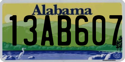AL license plate 13AB607