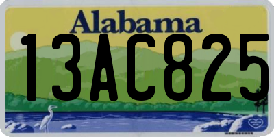 AL license plate 13AC825