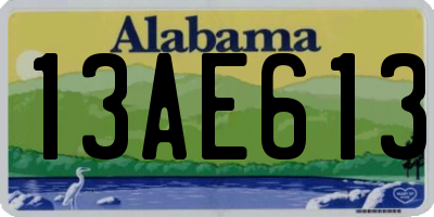 AL license plate 13AE613