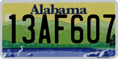 AL license plate 13AF607