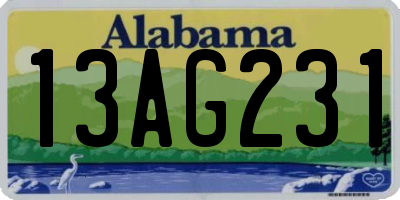 AL license plate 13AG231